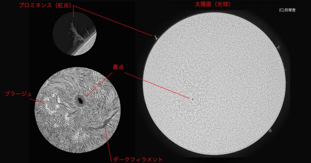 太陽