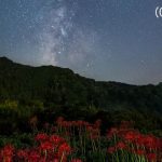 天上の花
