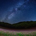 秘密の花園