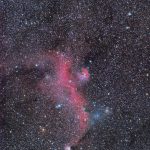 IC2177