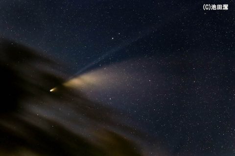 ネオワイズ彗星特集