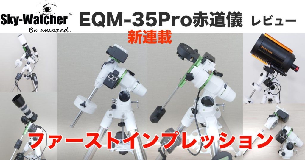 レビュー