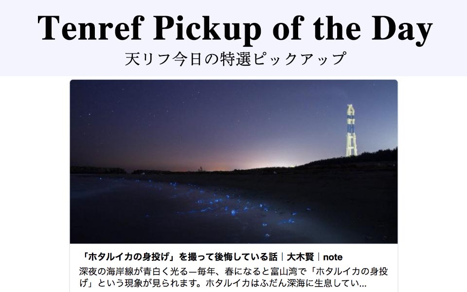写真コラム