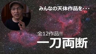 特選ピックアップ